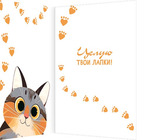 Я тебя мур-мур. Милый котик вверх ногами