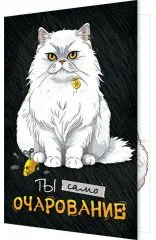 Ты само очарование (кот на чёрном фоне)