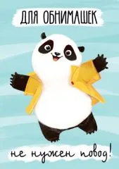 Для обнимашек не нужен повод. Панда на коньках